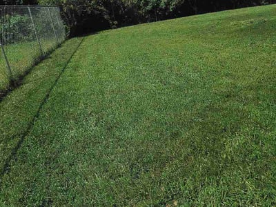 Lawn care service in Clarksville, 37042