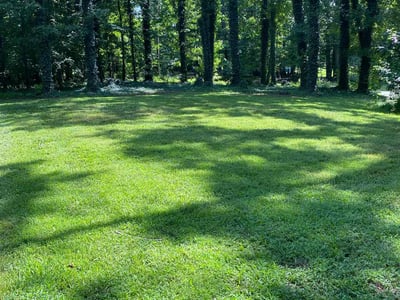 Lawn care service in Greensboro, 27406