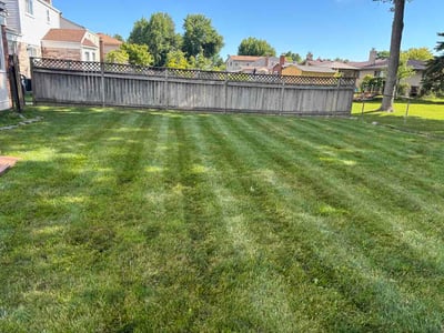 Lawn care service in Sterling Heights, 48310