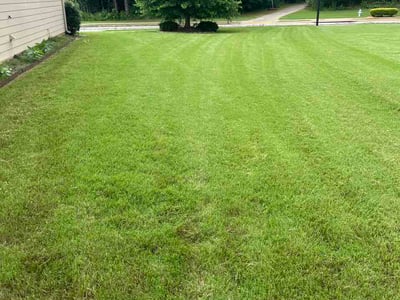 Lawn care service in McDonough, 30252
