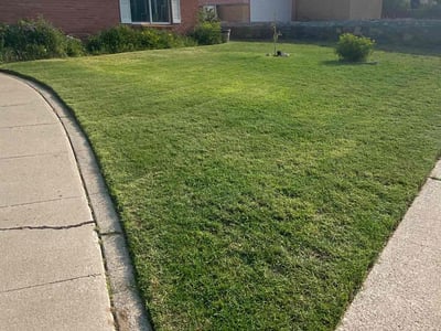 Lawn care service in El Paso, 79912
