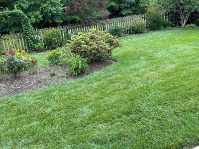Lawn care service in Williamsburg, 23188
