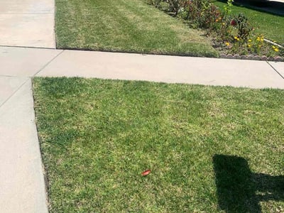 Lawn care service in Rancho Cucamonga, 91739