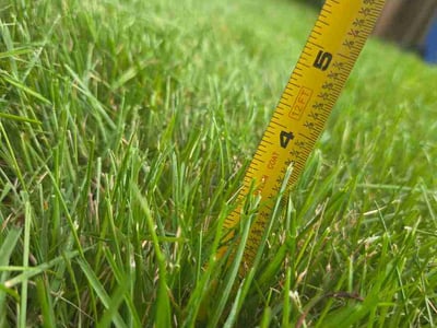 Lawn care service in Fort Collins, 80525