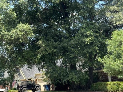 Lawn care service in Tulsa, 74137