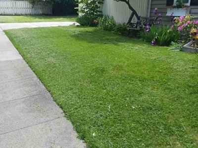 Lawn care service in Spokane, 99203