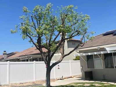 Lawn care service in Murrieta, 92563