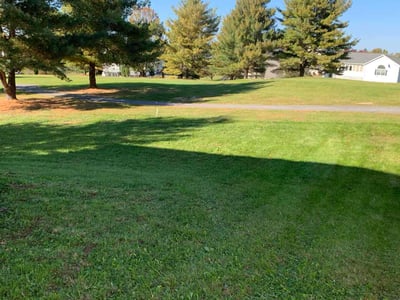 Lawn care service in Martinsburg, 25405