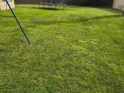 Lawn care service in San Diego, 92124
