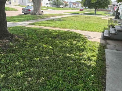 Lawn care service in Council Bluffs, 51501