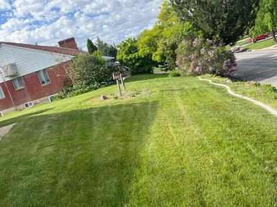 Lawn care service in Ogden, 84403
