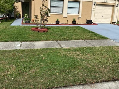 Lawn care service in Tampa, 33624