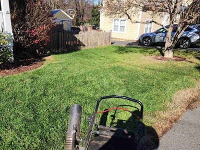 Lawn care service in , 