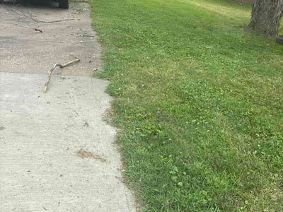 Lawn care service in Kansas City, 64133