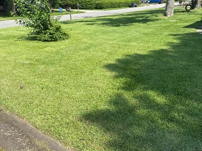 Lawn care service in Virginia Beach, 23453