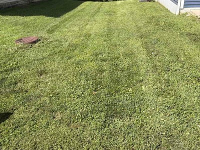 Lawn care service in Ellettsville, 47429