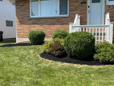Lawn care service in Tonawanda Town, 14150