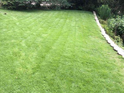 Lawn care service in Vestavia Hills, 35243