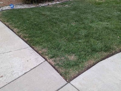 Lawn care service in Chicago, 60617