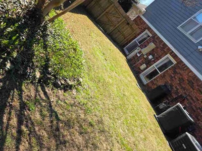 Lawn care service in Memphis, 38103
