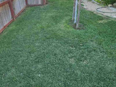 Lawn care service in Galt, 95632