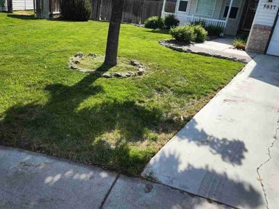 Lawn care service in Caldwell, 83607