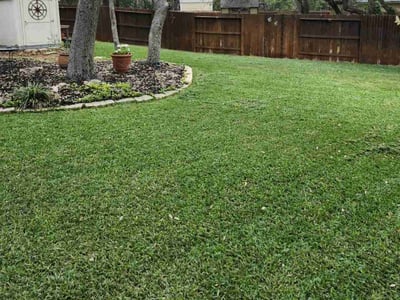 Lawn care service in San Antonio, 78260