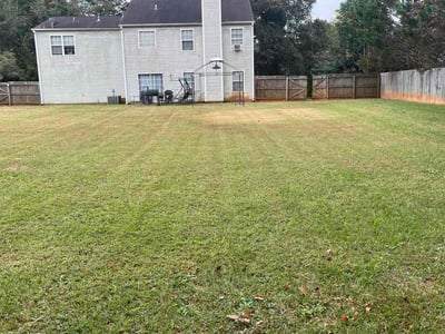 Lawn care service in Covington, 30014