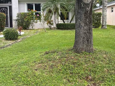 Lawn care service in Lakewood Ranch, 34202