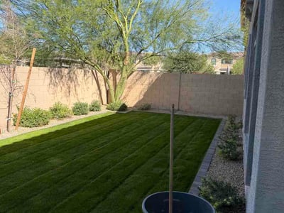 Lawn care service in Chandler, 85286