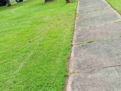 Lawn care service in Collierville, 38017