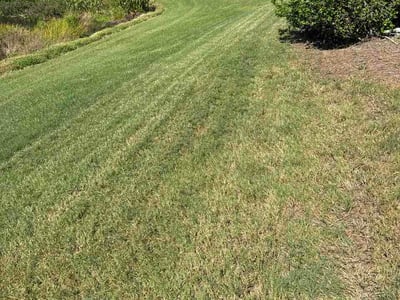 Lawn care service in Sarasota, 34238