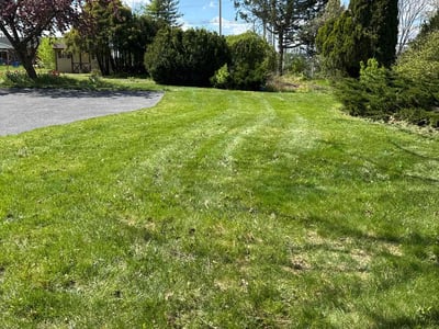 Lawn care service in Chambersburg, 17201