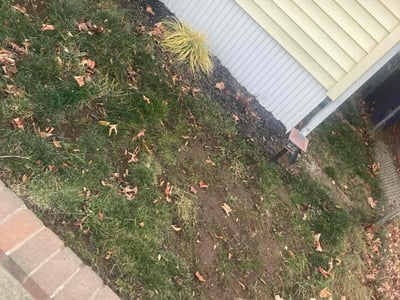Lawn care service in Quincy, 02169
