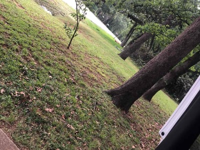 Lawn care service in Arlington, 76016