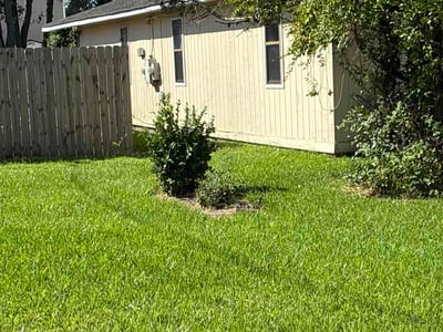 Lawn care service in Virginia Beach, 23451