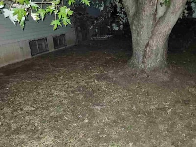 Lawn care service in St. Peters, 63376