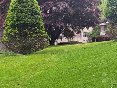 Lawn care service in Scranton, 18508