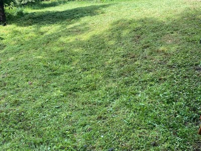 Lawn care service in Portland, 97231