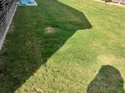 Lawn care service in Crosby, 77532