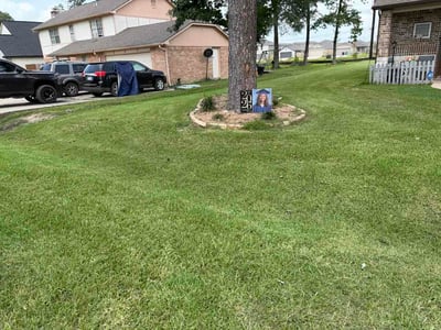 Lawn care service in Crosby, 77532