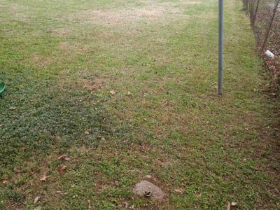 Lawn care service in , 