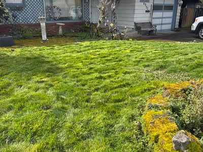 Lawn care service in Milwaukie, 97222