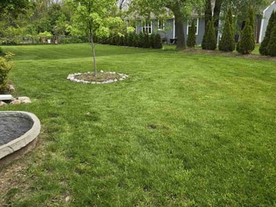 Lawn care service in Thiensville, 53092