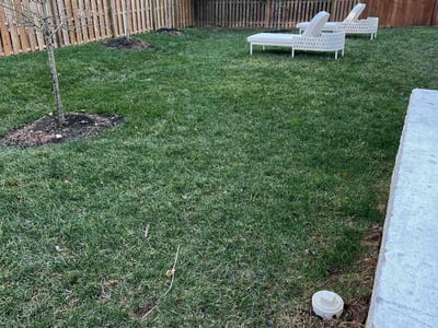 Lawn care service in McLean, 22101