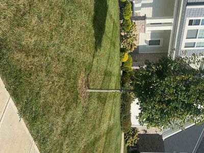 Lawn care service in Union, 41091