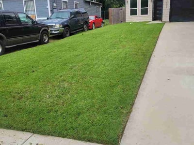 Lawn care service in Dallas, 75215