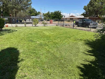 Lawn care service in Albuquerque, 87111
