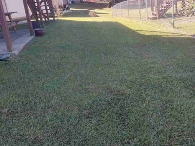 Lawn care service in Griffin, 30223