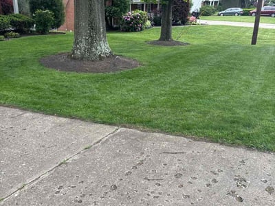 Lawn care service in Coraopolis, 15108